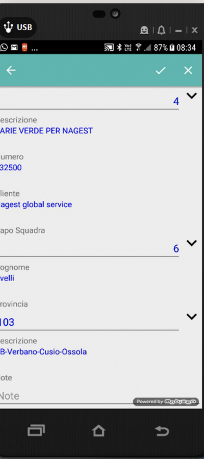 Inserimenti dati mobile